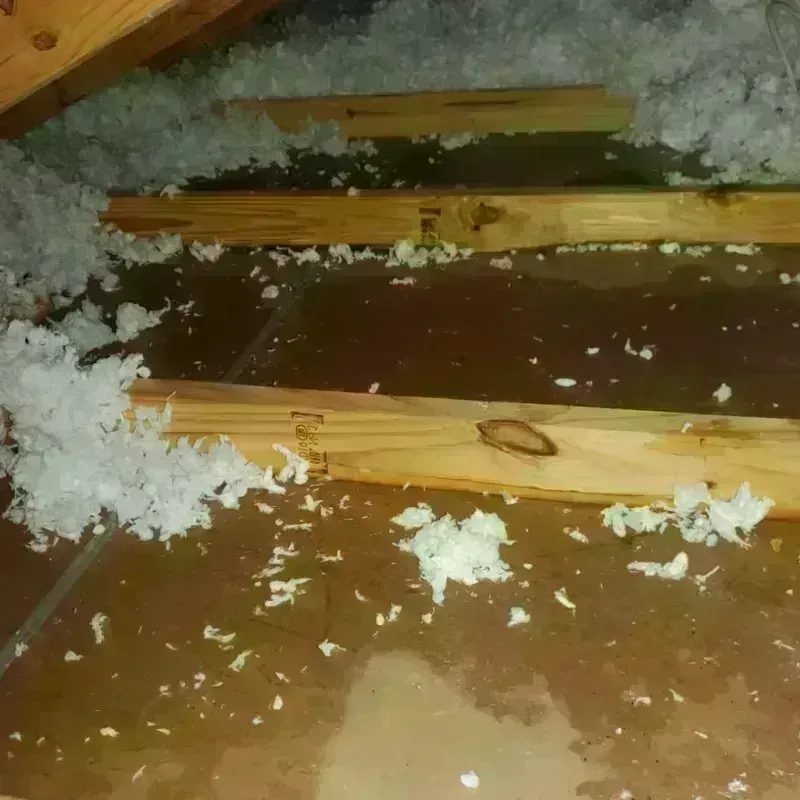 Attic Water Damage in Pine Knot, KY